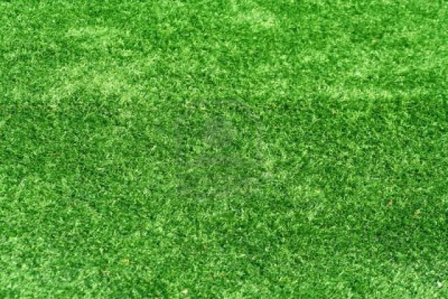 Where to rent Astro Turf, Green Square Foot in San Dimas CA